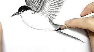 Amazing video interesting drawing art