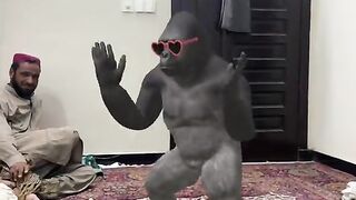 gorila dance monkey dance.