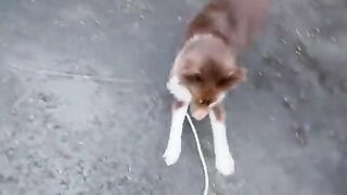 Come back here and LOVE MEEEEE!