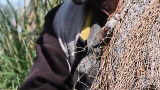 parindo ko bulany wala music