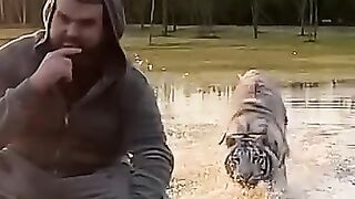 A tiger sprayed a man