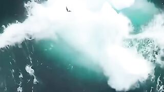Fly trick in sea