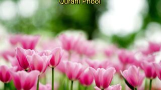 Al Quran beautiful voice#