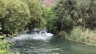 الطبيعة