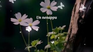 With you pondatti