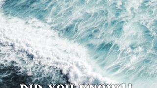 The Pacific Ocean has Point Nemo