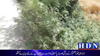 لالہ موسی محلہ اعظم نگر کے رہائشی  اوور سیز پاکستانی غلام سرور بٹ نکاسی آپ کے