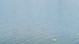 La nature