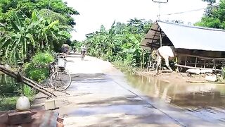 Cooking traditional food and grilled fish in my homeland