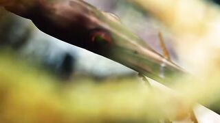 Beautiful fish | part 60
