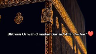 Wahid
