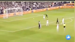 funny goal and fans reaction