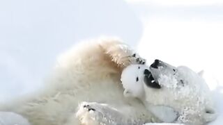 wonderful world