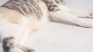 Molly 2