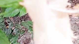A Beautiful movement