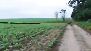 animal train