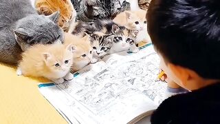 Funny dogs 5