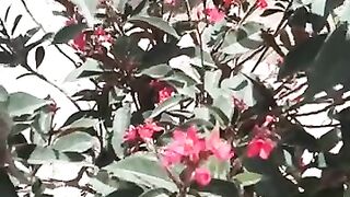 Beautiful video -Quran verse -Heart teaching verse -Surah AlNisa __ Ayat 48 __@short@viral@ Nisa. plz subscribe and watch my video
