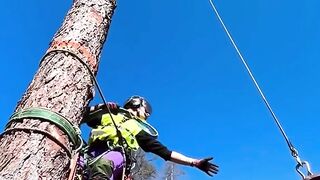 Tree cutting lift by halicaptor