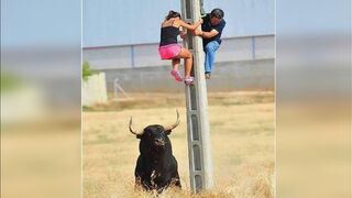 Funniest fails of the year compilation