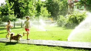 playing with dog in the park - adalinetv