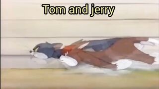 Tom and jerry  funny