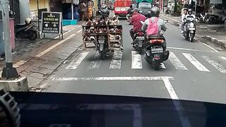 Ayam ayam