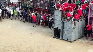 Салона дель Торо де Мадроньис