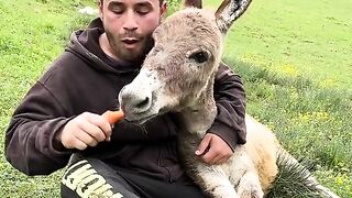 Eating with animal