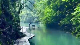 Amazing video