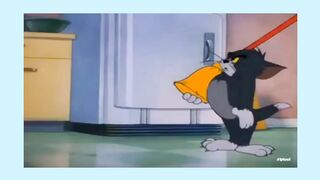 Tom Jerry Urdu | Tom & Jerry In Hindi |