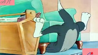 Tom and jerry for all