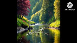 Natural video