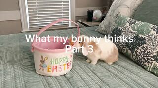 Have made one of these in a while.