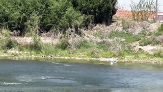 What should I do when encountering such a situation while fishing