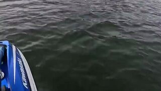 Jetski racing by buoy #race #racing #2stroke #lake #extremesports #fullsend #sendit #jetski #moto
