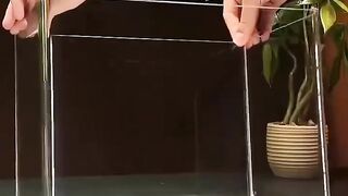 Aquarium design