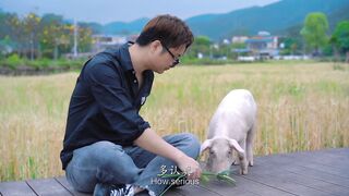 I will never meet a pig girl like you again