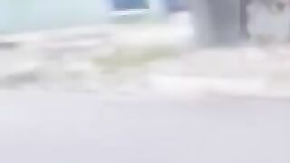 Viral funny video