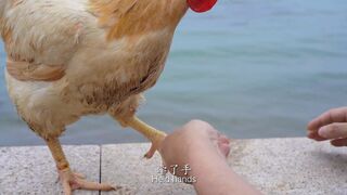 You said, holding hands is a promise