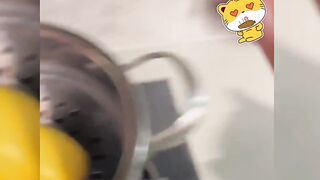 Inventory of the mischievous kittens