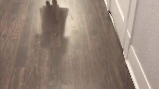 Some of the funniest fails.