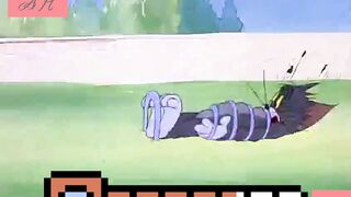 Tom and other cat also jerry