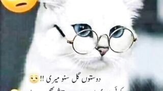 Funny poetry