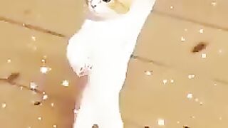 Fanny Dancing with song