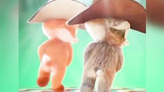 Cat ???? dance