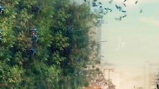 Hum bhi dekhen gy tamasha ost