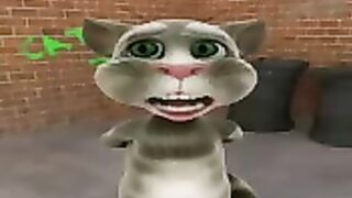 Funny  Cat Talk| Noman15