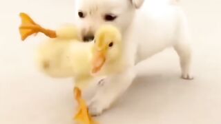 its soo cute baby