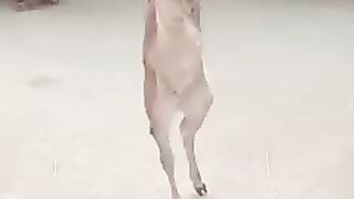 Sad  ????